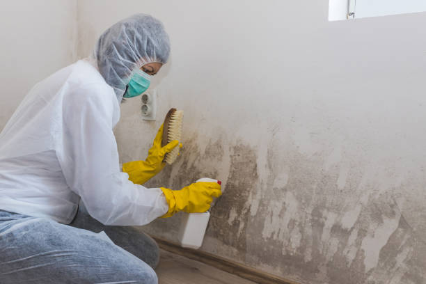 Best Crawl Space Mold Removal  in Oolitic, IN