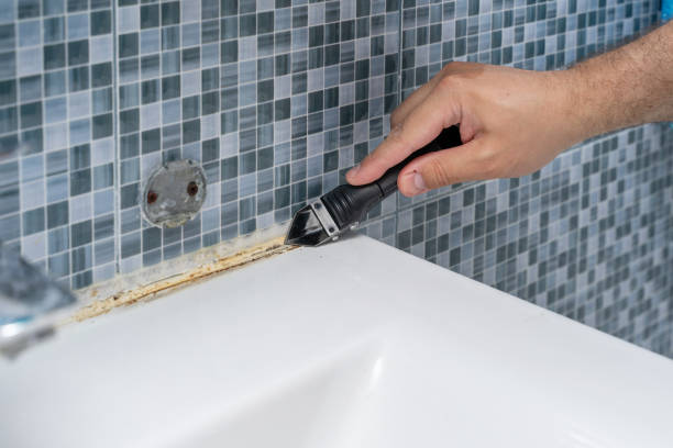 Best Mold Damage Repair  in Oolitic, IN